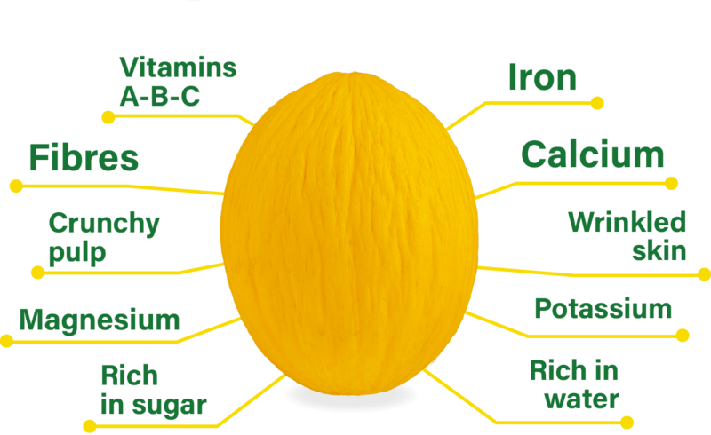 Nutritional properties of | melon Rillo