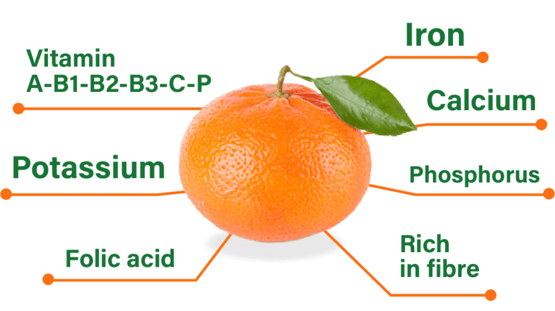 Nutritional properties of mandarin