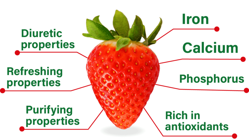 Nutritional properties of strawberry